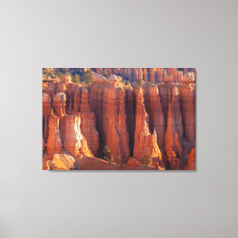 Bryce Canyon Tower Hoodoos Canvastryck