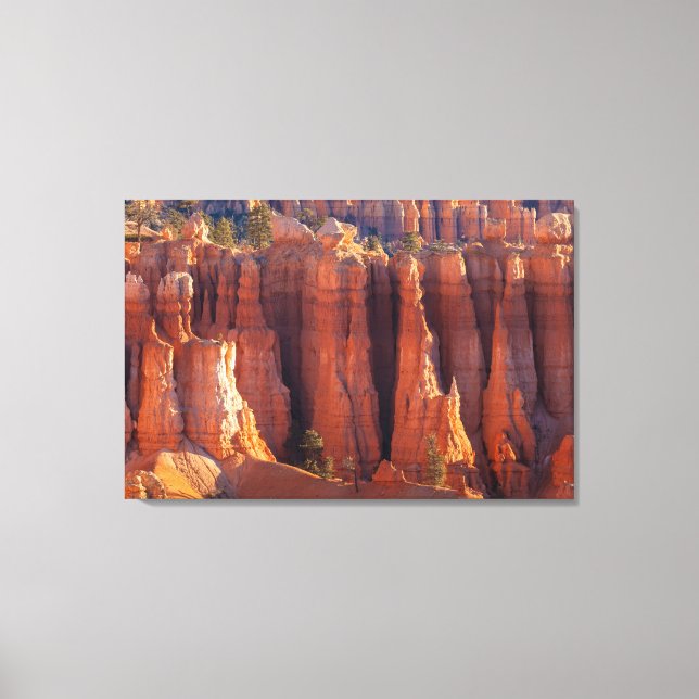 Bryce Canyon Tower Hoodoos  Canvastryck (Framsida)