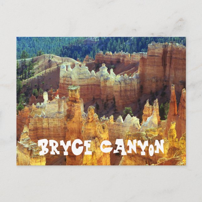 Bryce Canyon Travel Postcard Vykort (Framsida)