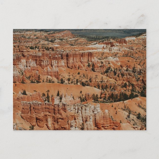 Bryce Canyon, ut Vykort (Framsida)