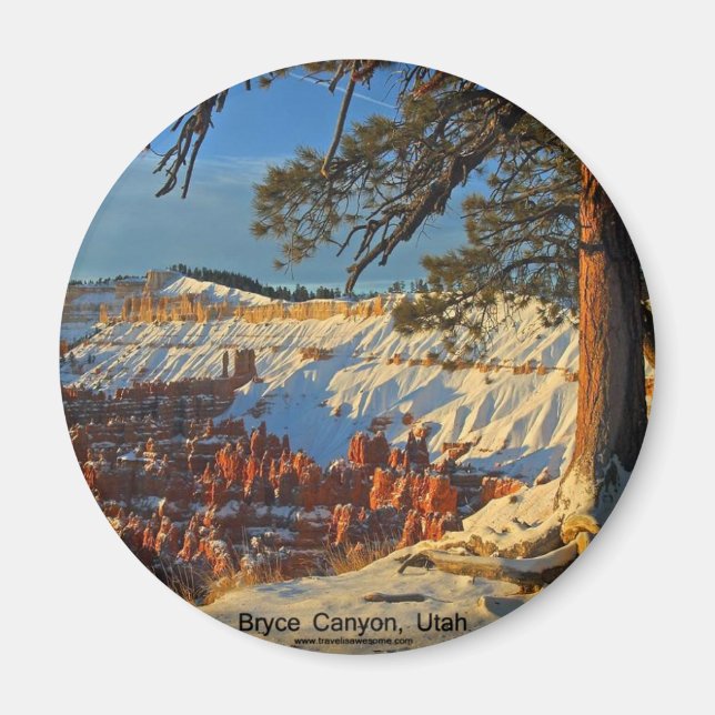 Bryce Canyon, Utah Magnet (Framsidan)