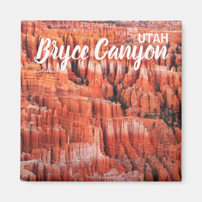 Bryce Canyon Utah Magnet (Framsidan)