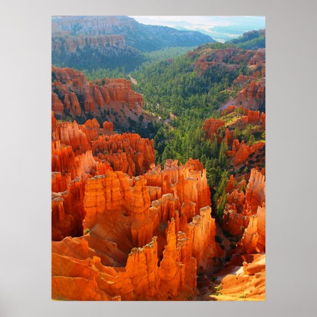 Bryce canyon Utah poster FRÅN 8,99 (Framsidan)