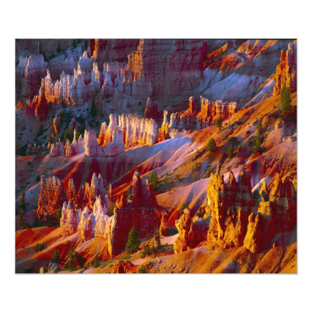 Bryce Canyon, Utah, USA 2 Fototryck (Framsidan)