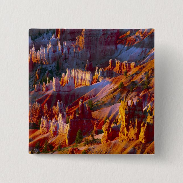 Bryce Canyon, Utah, USA 2 Knapp (Framsida)