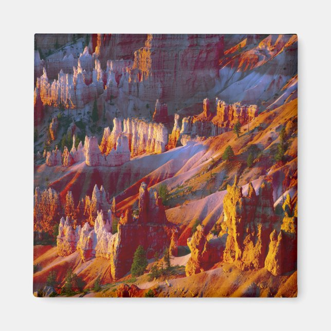 Bryce Canyon, Utah, USA 2 Magnet (Framsidan)