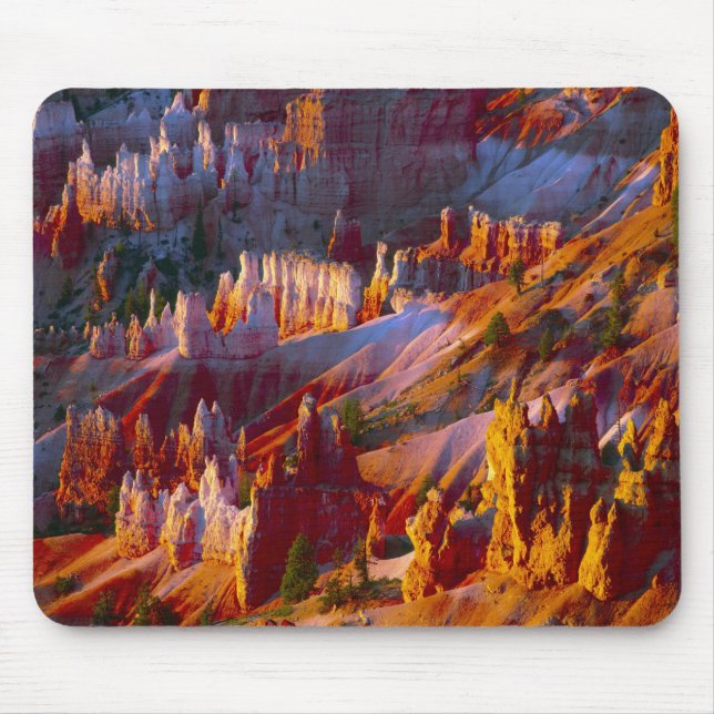Bryce Canyon, Utah, USA 2 Musmatta (Framsidan)