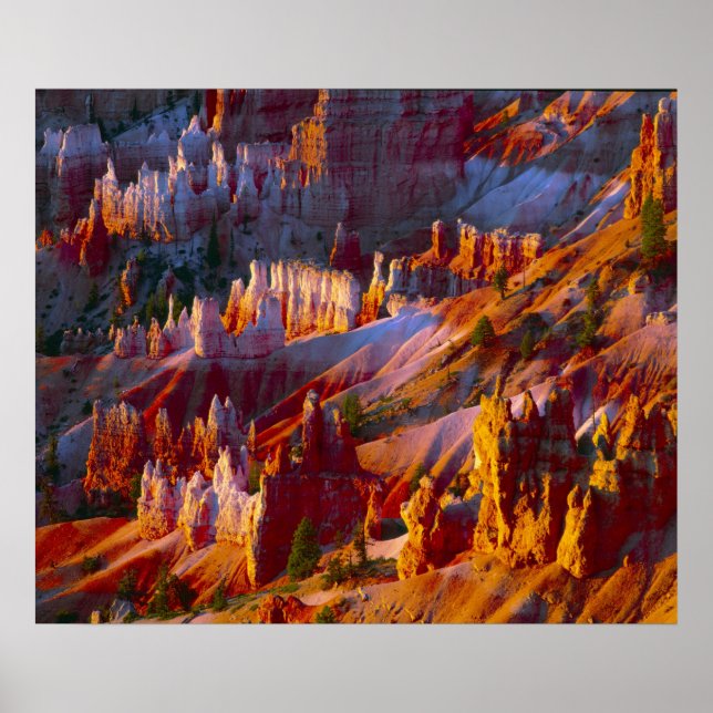 Bryce Canyon, Utah, USA 2 Poster (Framsidan)