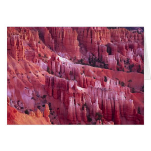 Bryce Canyon, Utah, USA Hälsningskort