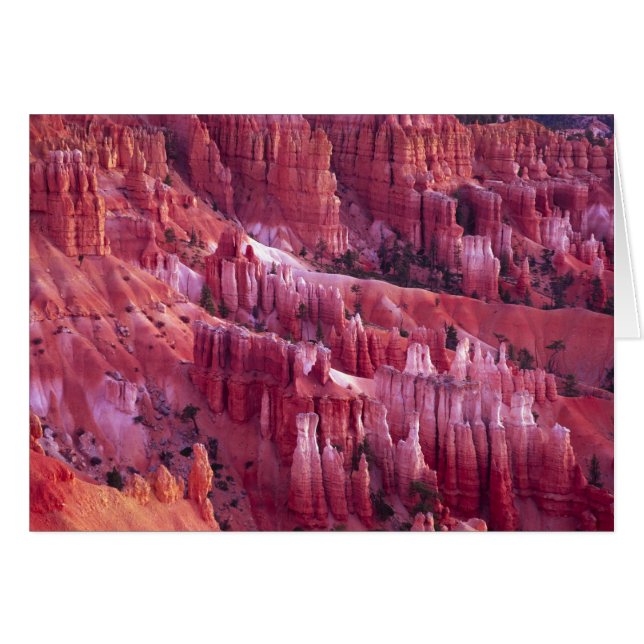 Bryce Canyon, Utah, USA Hälsningskort (Framsidan Horizontal)
