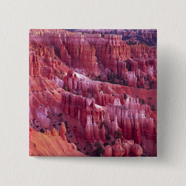 Bryce Canyon, Utah, USA Knapp (Framsida)