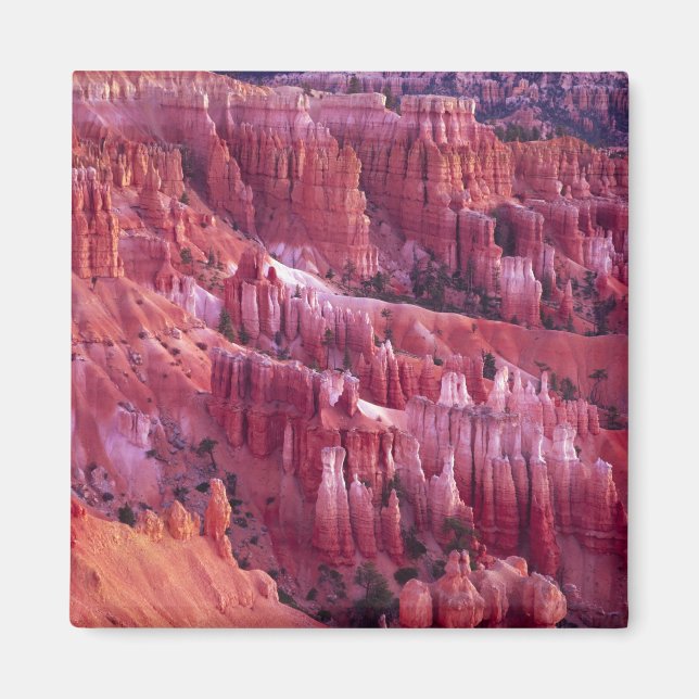 Bryce Canyon, Utah, USA Magnet (Framsidan)