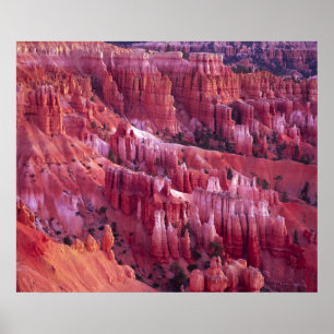 Bryce Canyon, Utah, USA Poster