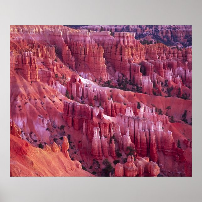 Bryce Canyon, Utah, USA Poster (Framsidan)