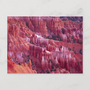 Bryce Canyon, Utah, USA Vykort