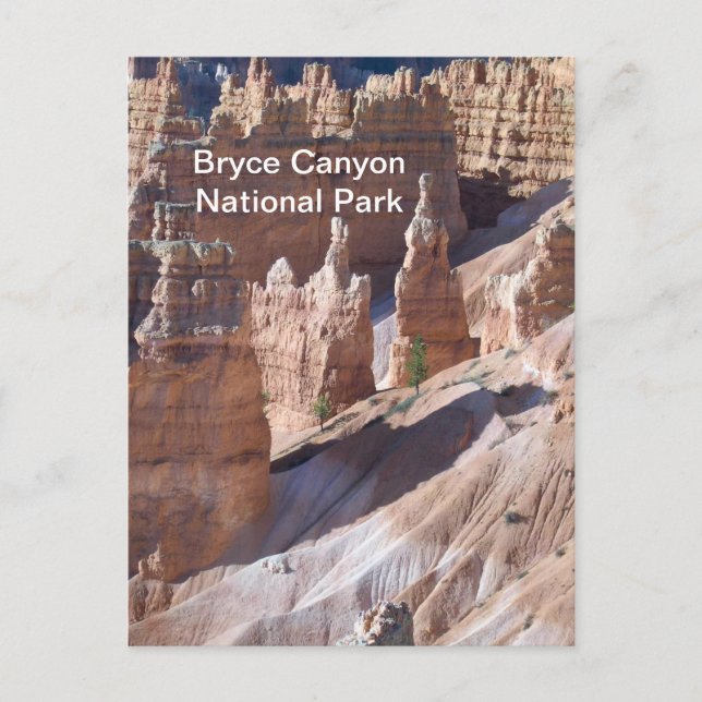 Bryce Canyon Vykort (Framsida)