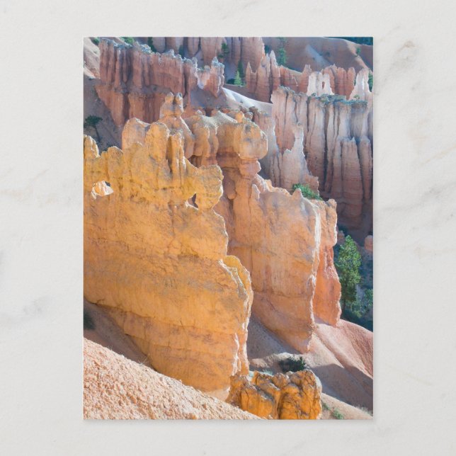 Bryce Canyon Vykort (Framsida)
