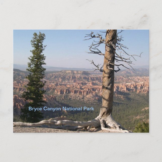 Bryce Canyon Vykort (Framsida)