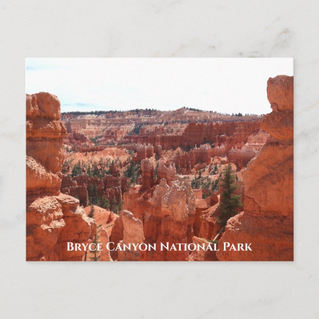 Bryce Canyon-vykort Vykort (Framsida)