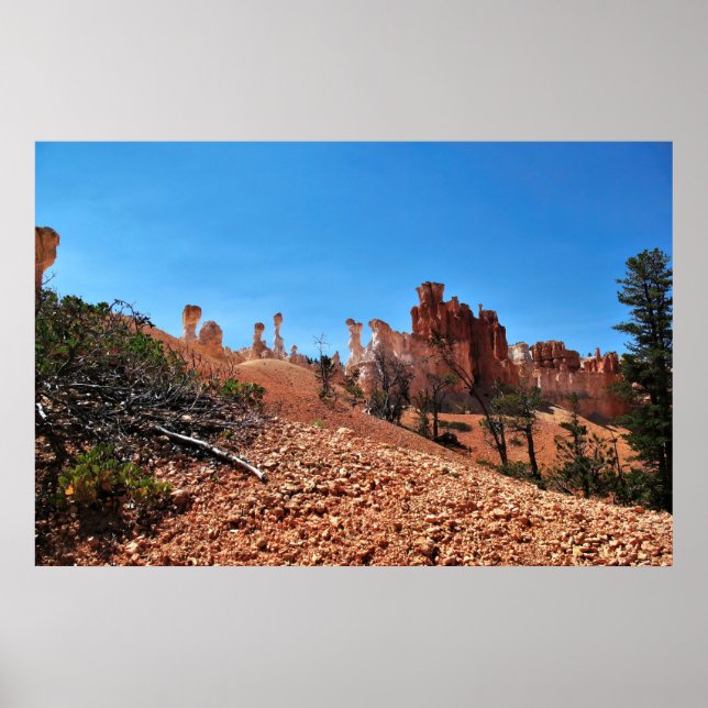 Bryce Canyons noggrannhet Poster (Framsidan)