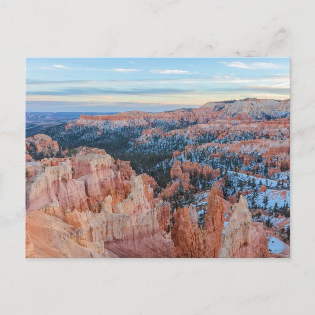 Bryce Canyons vinterlandskap Vykort (Framsida)
