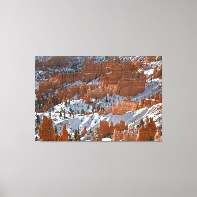 Bryce i Winter Canvastryck (Framsida)