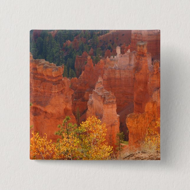 Bryce kanjon Utah Knapp (Framsida)