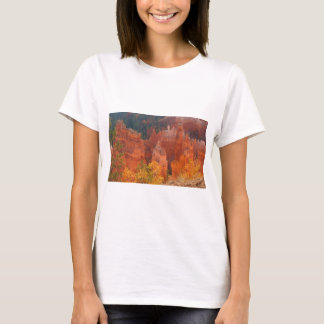 Bryce kanjon Utah T Shirt
