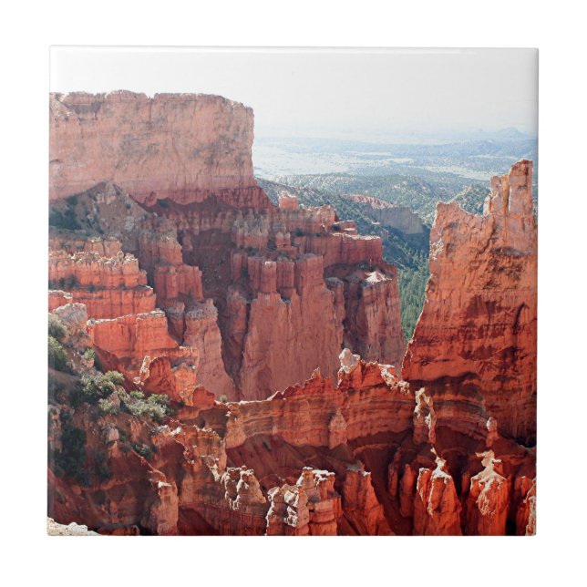 Bryce kanjon, Utah, USA 5 Kakelplatta (Framsidan)
