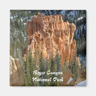 Bryce kanjonnationalpark magnet