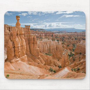 Bryce kanjonnationalpark musmatta