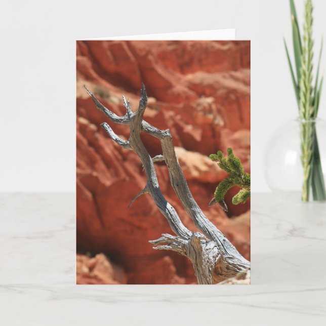 Bryce kanjonplats kort (Framsida)