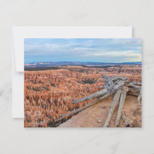 Bryce National Park Canyon på Sunrise Vykort