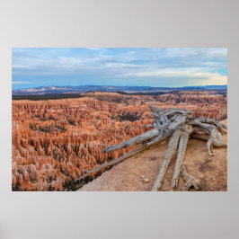 Bryce National Park Kanjon Soluppgång Poster