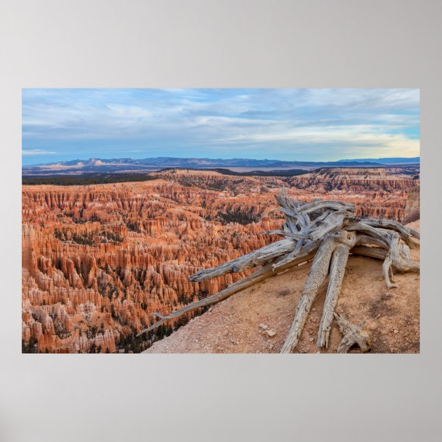 Bryce National Park Kanjon Soluppgång Poster (Framsidan)
