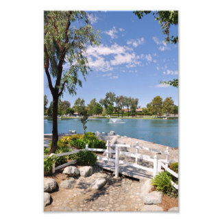 Brygga och damm fototryck