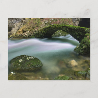 Brygga över problemfritt vatten vykort