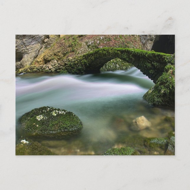 Brygga över problemfritt vatten vykort (Framsida)