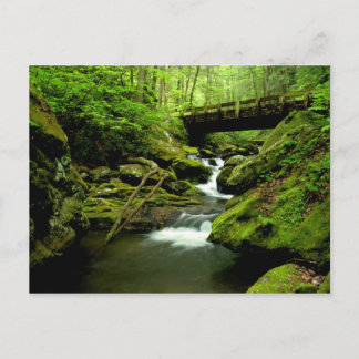 Brygga över rinnande gaffel vykort