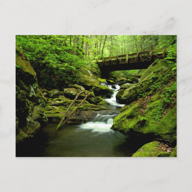 Brygga över rinnande gaffel vykort (Framsida)