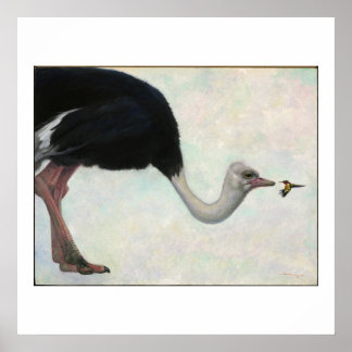 Bryn Barnard och Hummingbird Poster