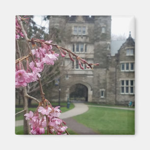 Bryn Mawr College i vårtid Pem Arch Magnet