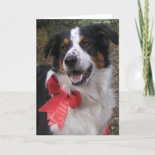 ’Bryn with a bow’ Helgkort