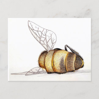 Bryr vi oss till och med? helg vykort