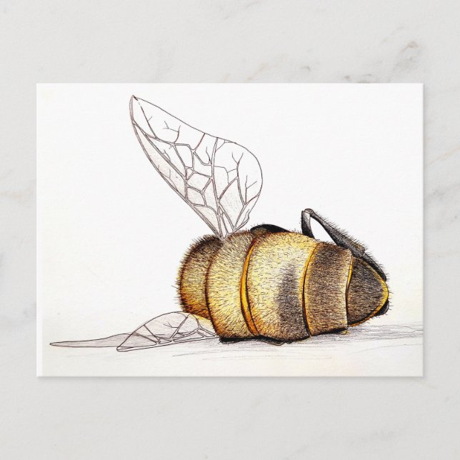 Bryr vi oss till och med? helg vykort (Framsida)