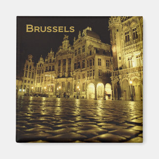 Bryssel Belgien Natt Souvenir Fridge Magnet
