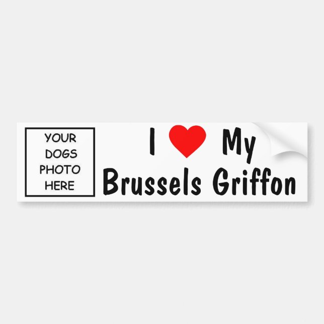 Bryssel Griffon Bildekal (Framsidan)