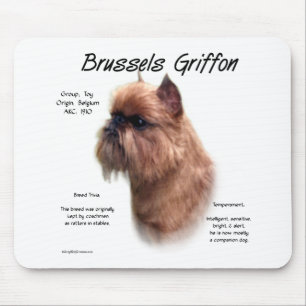 Bryssel Griffon (grov) historiedesign Musmatta