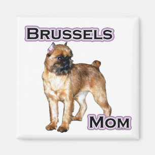 Bryssel Griffon Mamma, Mamma i Bryssel Griffon Magnet