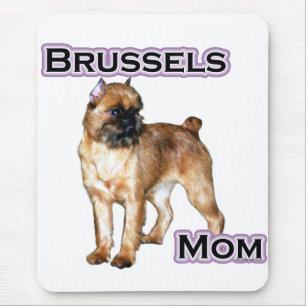 Bryssel Griffon Mamma, Mamma i Bryssel Griffon Musmatta